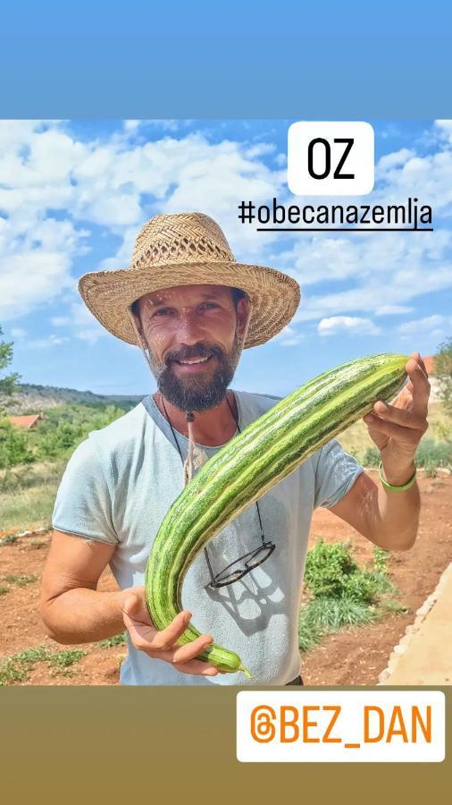 Oz - Obecana Zemlja Permaculture Homestead Благай Экстерьер фото